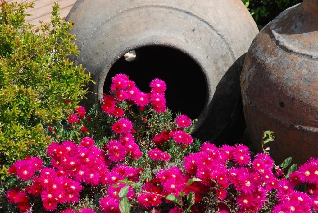A Flor Da Rosa Ξενοδοχείο Crato Εξωτερικό φωτογραφία